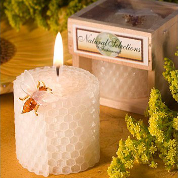อุปกรณ์งานเลี้ยงวันเกิดเด็กเที - Soy Wax บทวิจารณ์และราคา